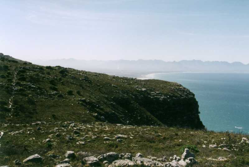 Table Mountain National Park area to reopen after fire | Southern ...