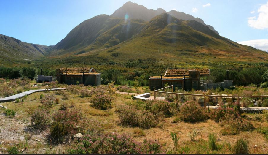 Kogelberg Nature Reserve closed due to fire | Southern & East African ...