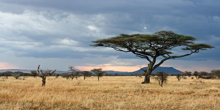 East Africa: bouncing back | Southern & East African Tourism Update