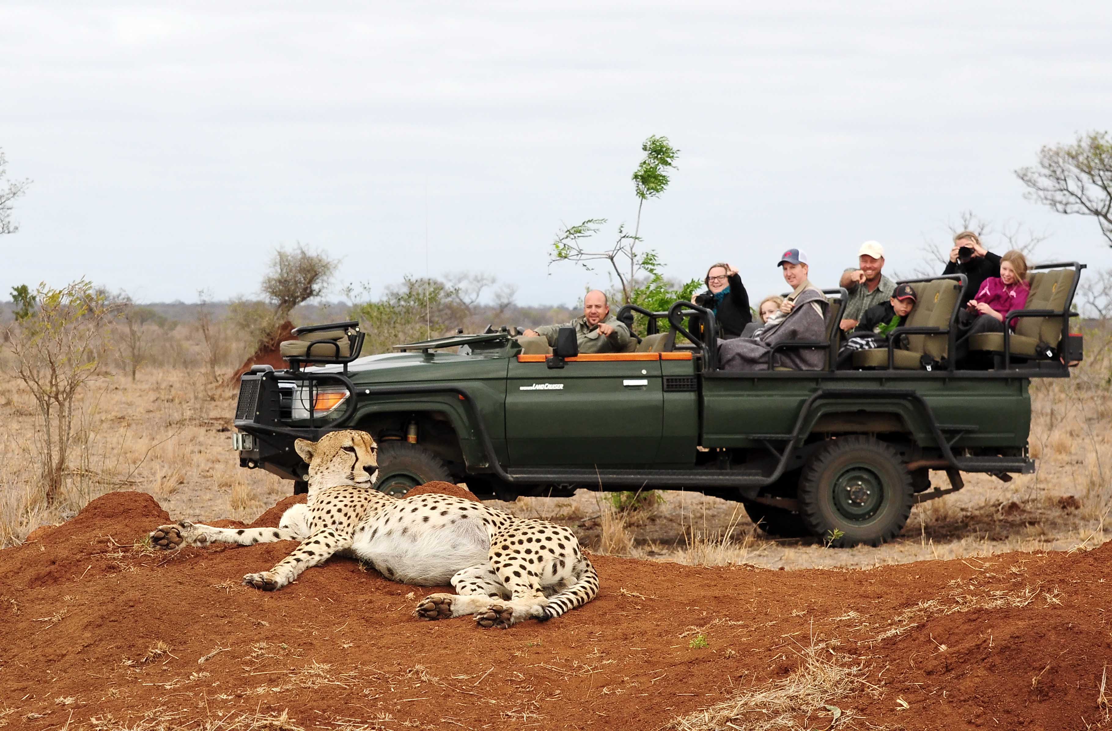 Sanparks Closes Some Border Posts Amidst Covid-19 Outbreak 