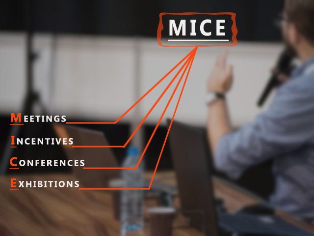 Mice агентство презентация