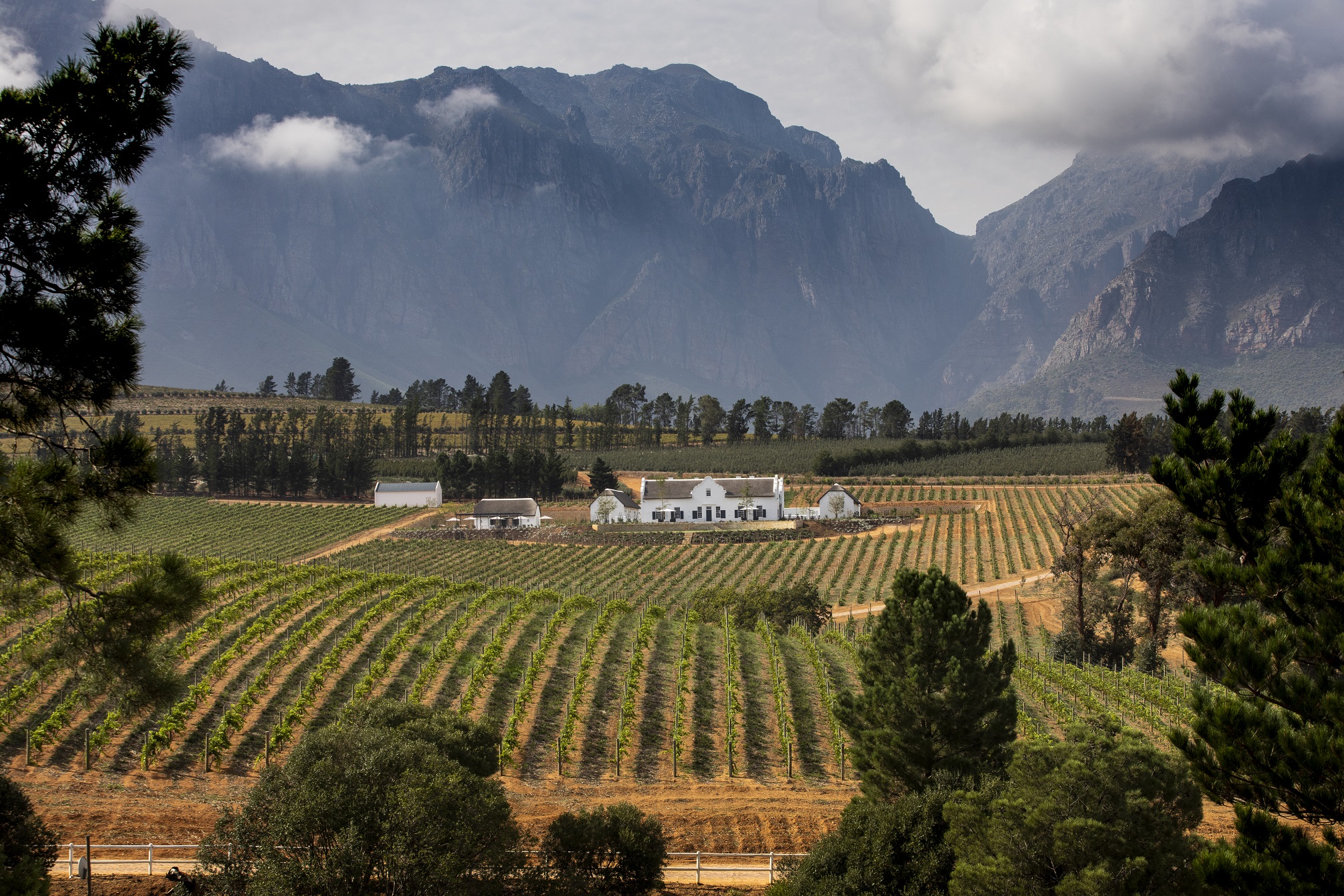 New hotel opens in Paarl winelands | Southern & East African Tourism Update