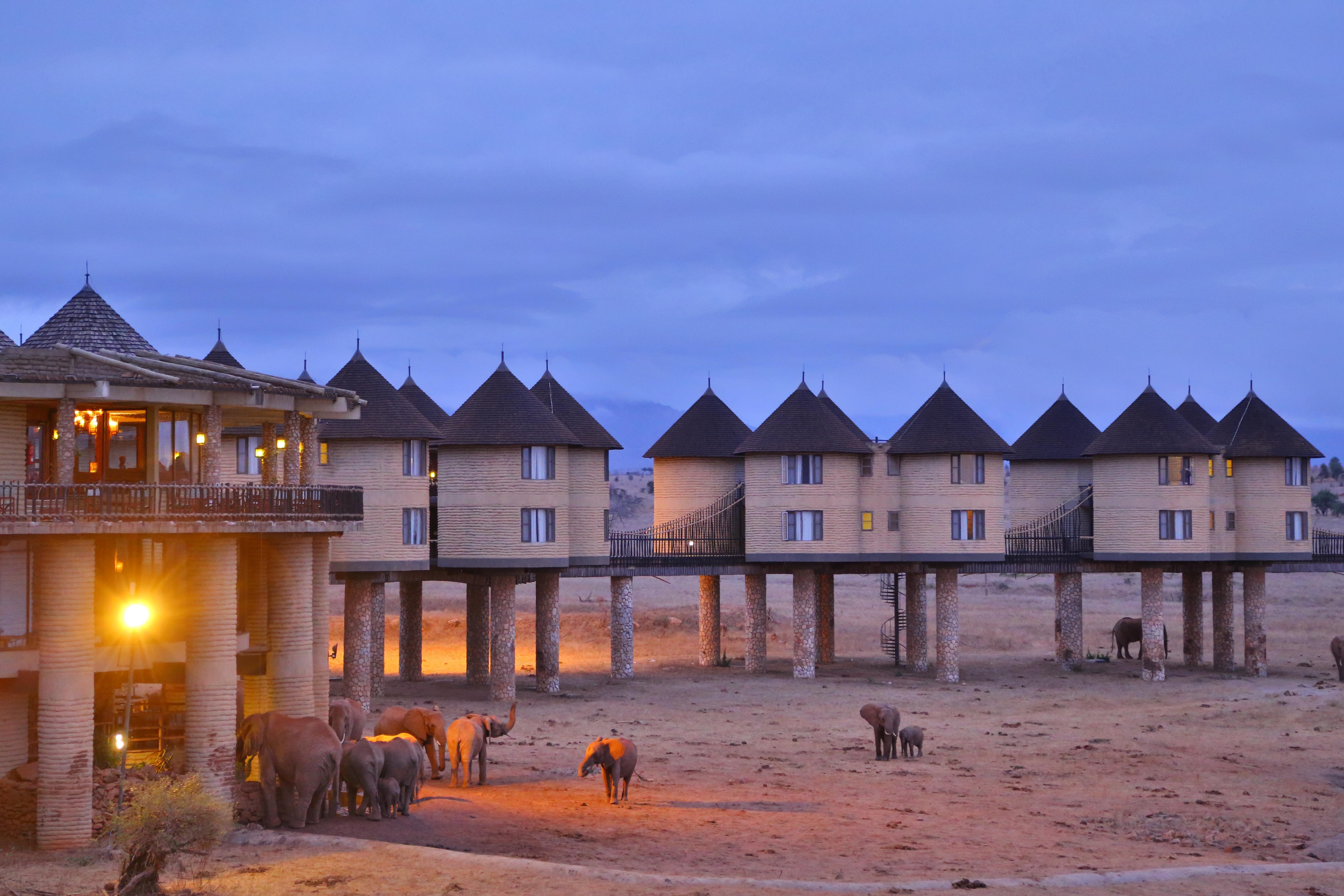 safari lodge in kenya