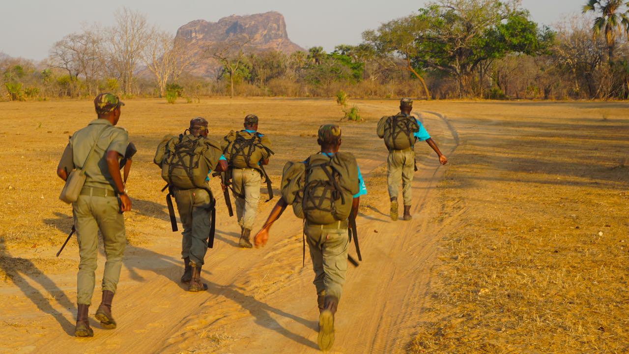 SA Wildlife Rangers Join Global Fundraising Drive | Southern & East ...