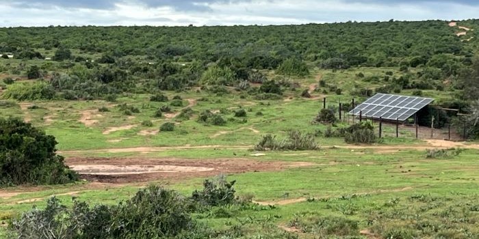 Addo Elephant National Park goes green