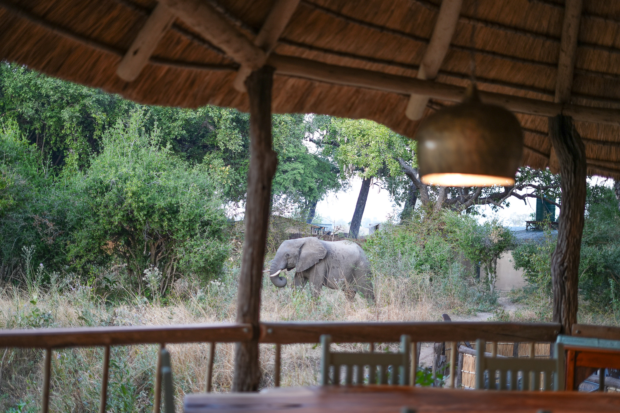 Shenton Safaris camp unveils major refurbishments