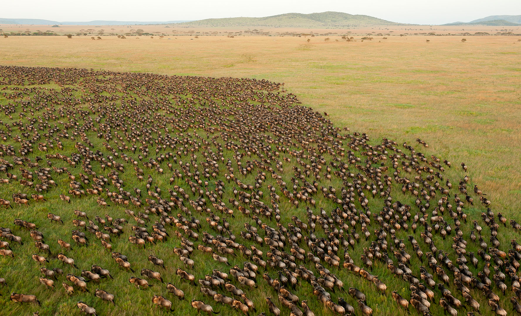 World Heritage Concerns re Serengeti tourism development