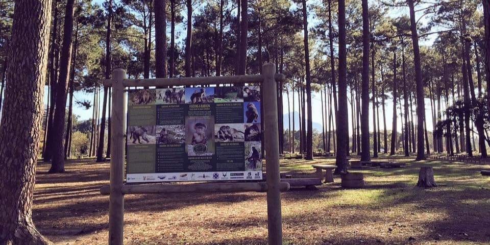 Tokai Forest picnic site closed