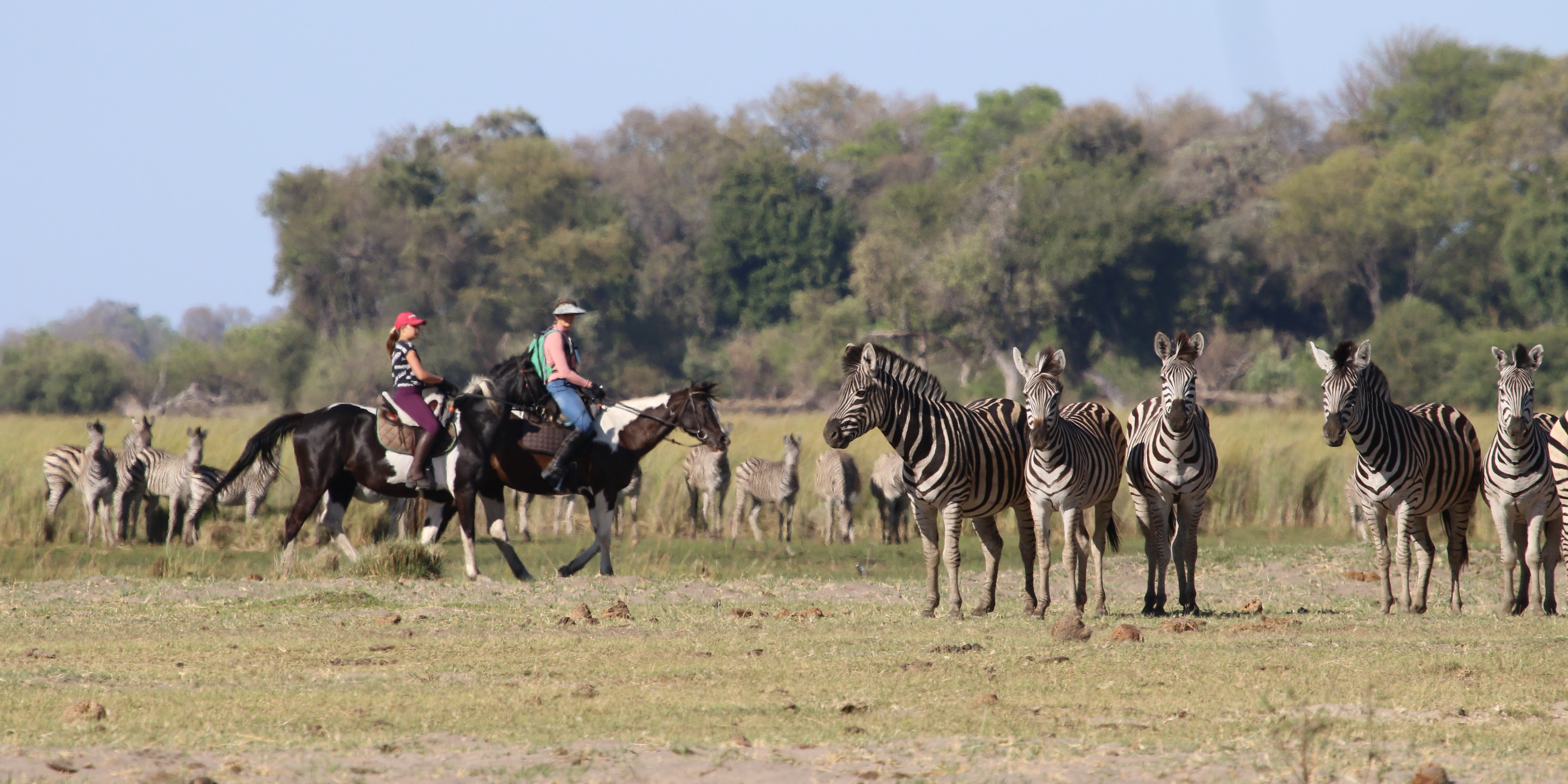 Horse safari experience launched Okavang