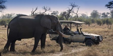 African Bush Camps opens new family-friendly lodge in Botswana ...