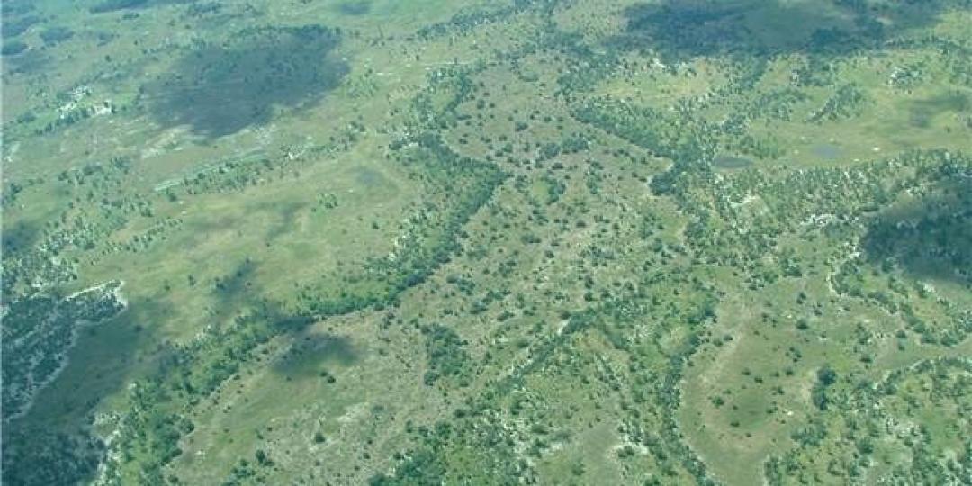 Overcrowding is threatening parts of the Okavango Delta, and mobile tourism licences for the Okavango could be frozen.