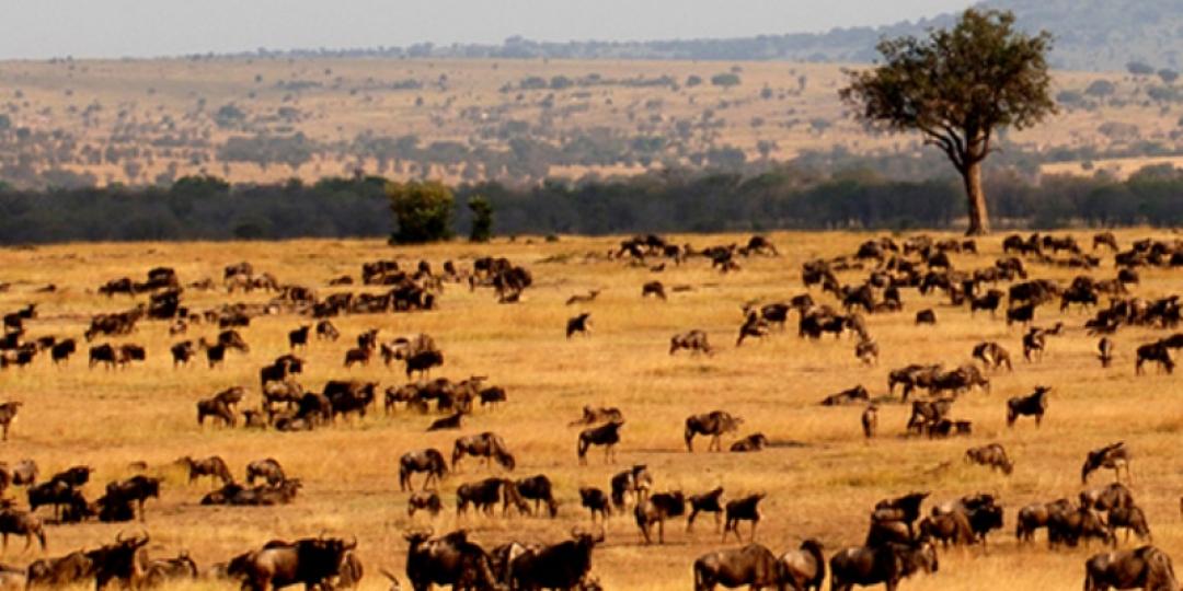 Attractions such as the Serengeti National Park are being filmed by major networks ahead of the launch of a new advert campaign to boost awareness about the destination.