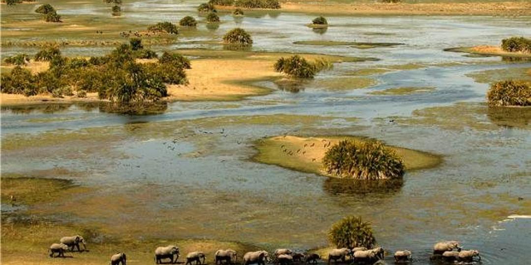 A heard of elephants in Botswana's Okavango Delta.