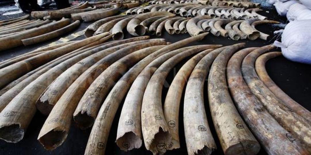 Governments, including SA, China and the UK, have committed to strengthen laws to clamp down on illegal wildlife trade.