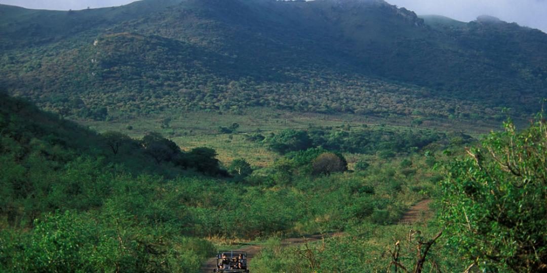 Industry players have rejected the suggestion that alternative wilderness areas be sought to offset the destruction of wilderness that could be caused by the proposed Fuleni coal mine on the border of the Hluhluwe-iMfolozi Park.