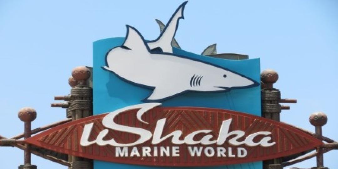 uShaka Marine World launched a new Rope Adventure on August 1. 