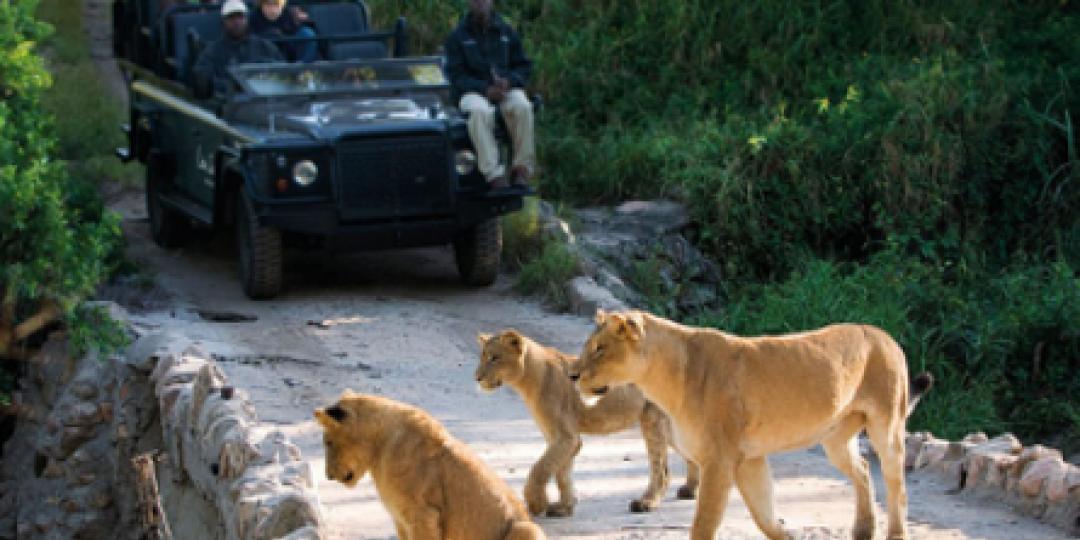 The Kruger National Park remains a key attraction to the Latin American market.