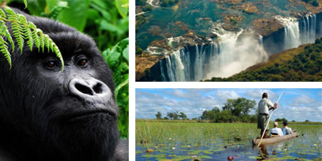 Tourism Update will increase its coverage of East Africa, Zimbabwe, Zambia, Namibia, Botswana and Mozambique.