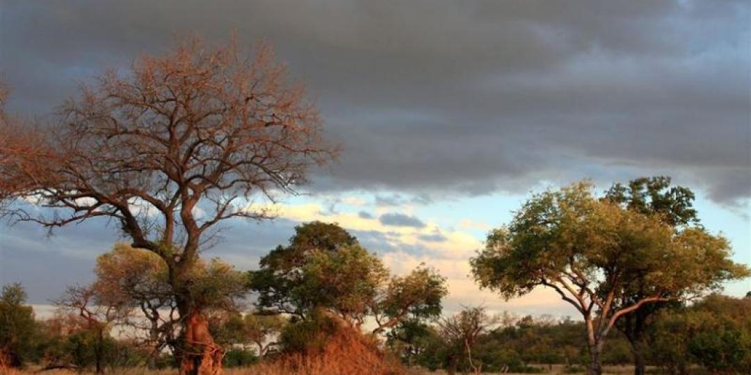 A new tented safari lodge will be developed in the Kruger National Park, following approval from the Department of Environmental Affairs.