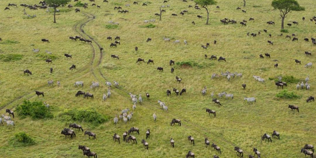 A new management plan in the Maasai Mara National Reserve hopes to address the poaching and human-wildlife conflict within the park.