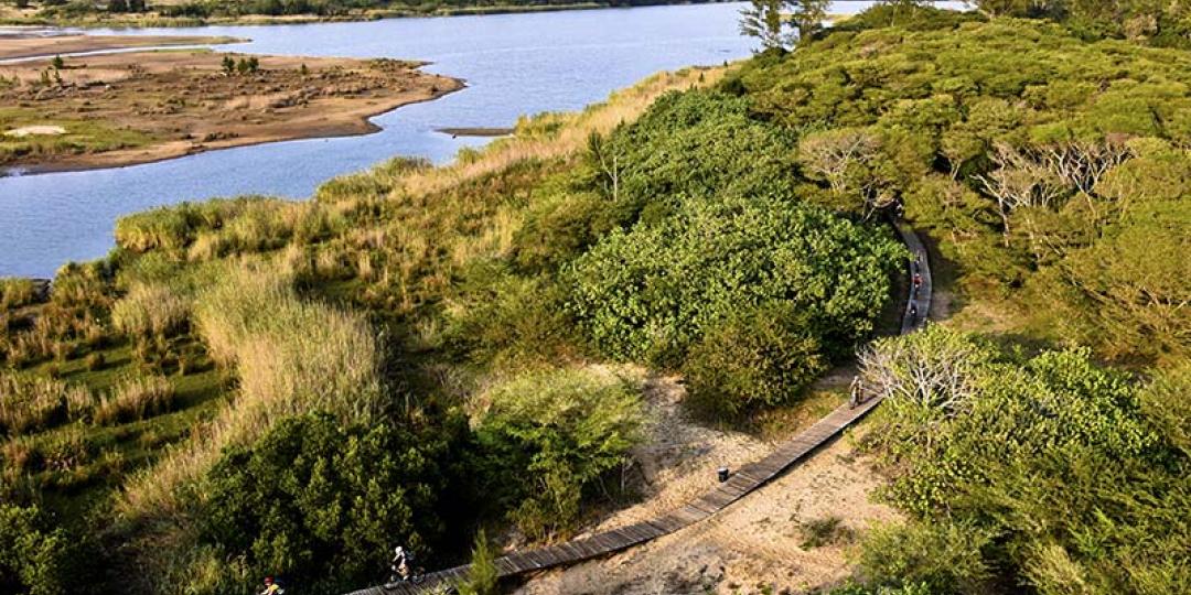 Fifteen projects will be implemented to rehabilitate and upgrade the Lake St Lucia Estuary.