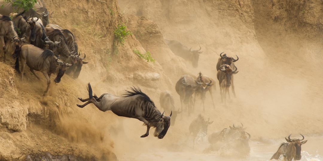 Planned repairs to the Narok-Sekenani road are expected to improve travel to the Maasai Mara National Reserve in Kenya.