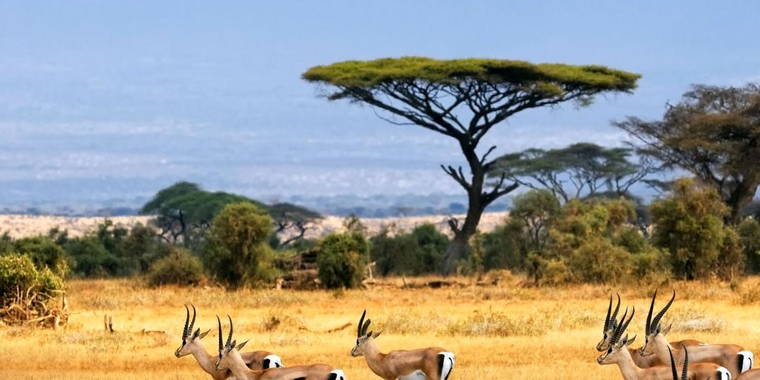 The Masai Mara is one of the highlights of Springbok Atlas’s new ‘South Africa, Zambia & Kenya Exploration’ tour.