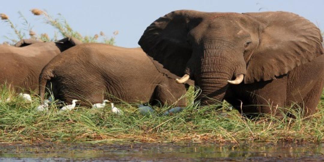 The Zambia Tourism and Arts Minister is disappointed with the depletion of wildlife in Lukusuzi National Park.