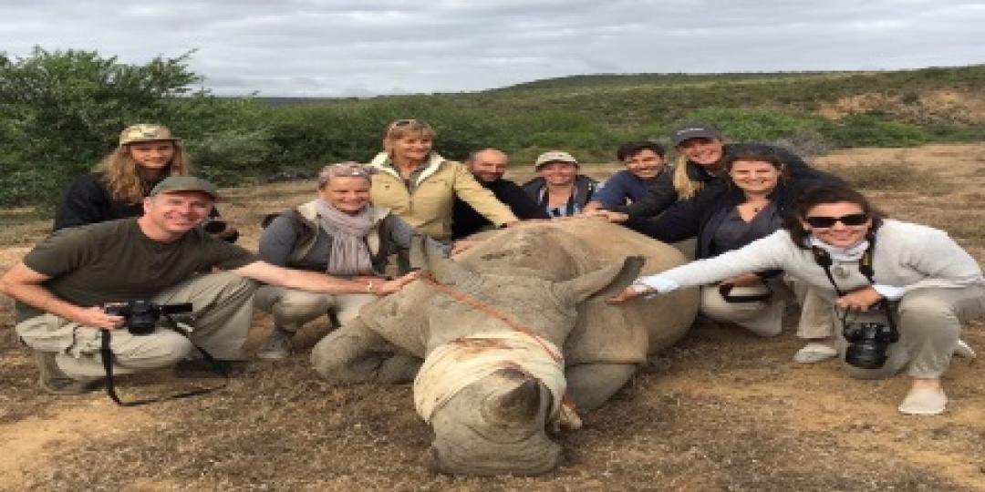 A group of agents tagging a Rhino at Kwandwe Private Nature Reserve, in the Eastern Cape, South Africa.