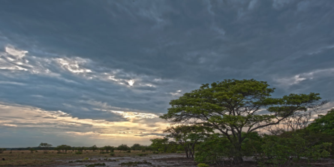 Proflight will begin a twice-weekly schedule between Lusaka and Kalabo, the nearest town to Liuwa Plain National Park.