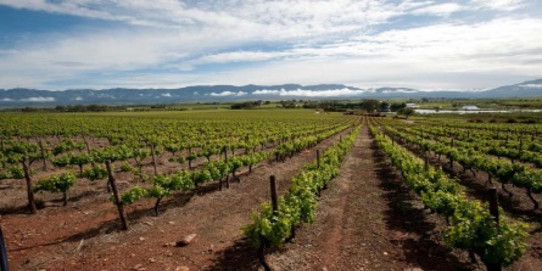 A recent documentary alleging slavery-like labour practises on Robertson wine farms has resulted in backlash.