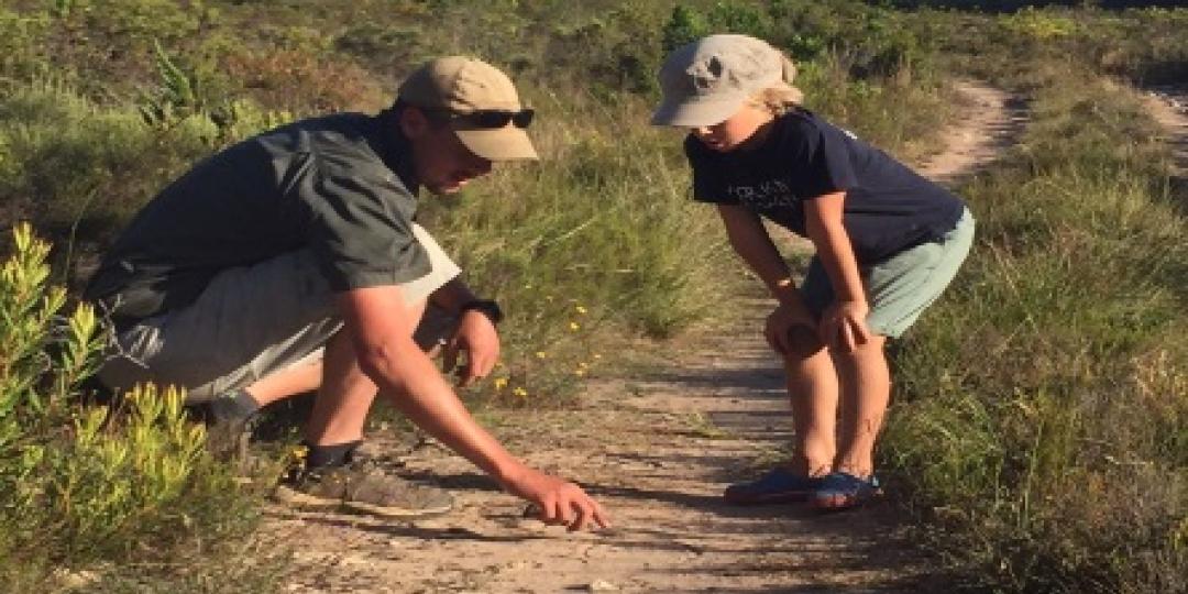 Gondwana Game Reserve now offers guests the opportunity to experience rhino tracking.