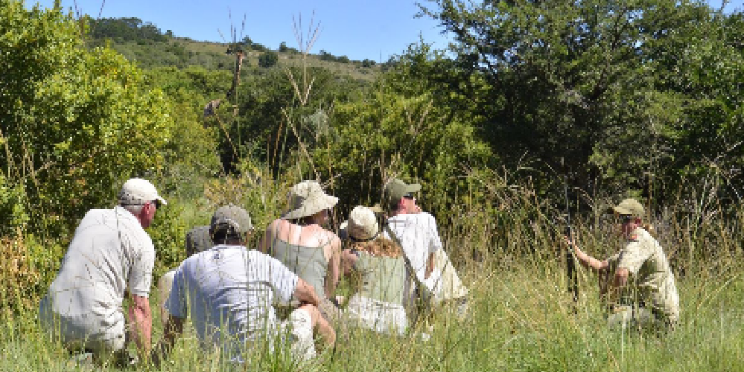 Guests can now enjoy a guided walking safari at Lalibela Game Reserve.