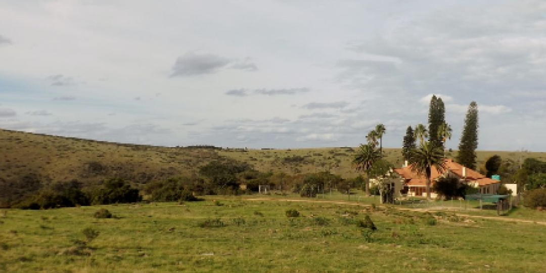 Lalibela game reserve is in the process of renovating farmhouse.