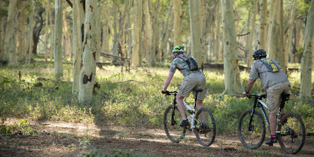  Escape Cycle Tours will be offering a new cycling safari, starting this October.