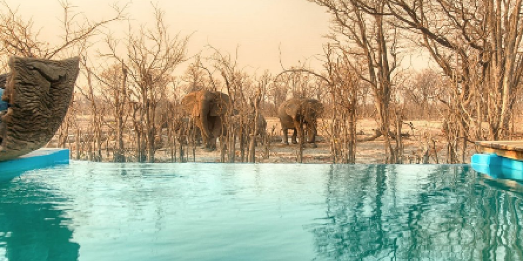 The refurbishment at Hyena camp in Botswana has been completed.