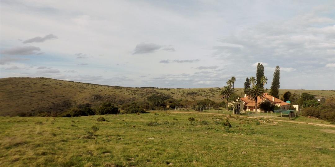  Lalibela is converting a historic farmhouse on the reserve into a hillside villa.