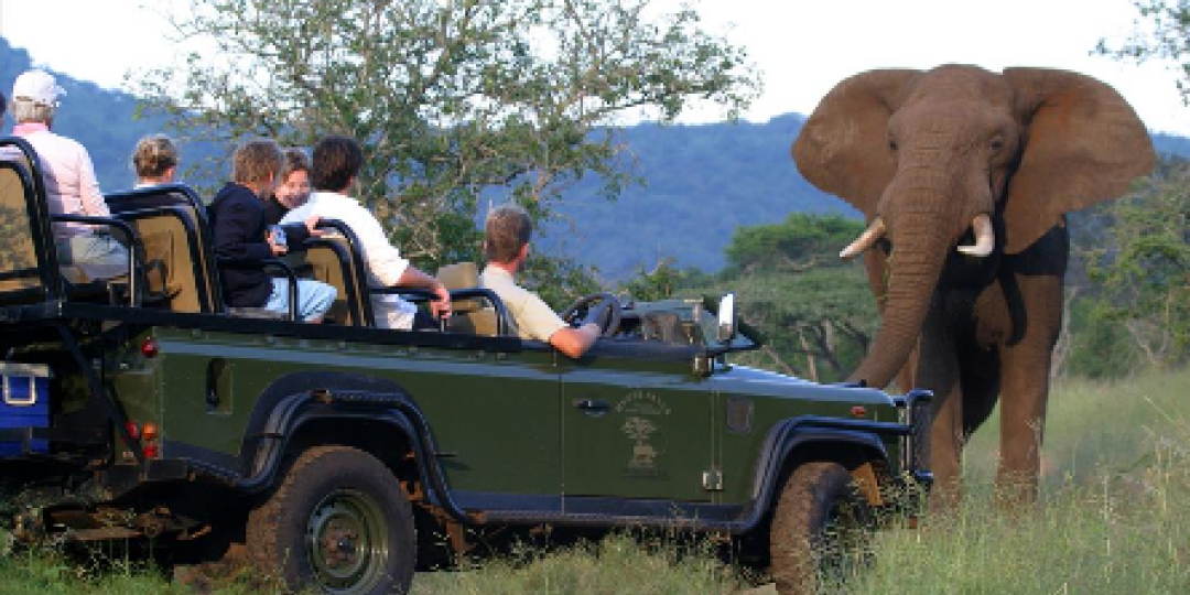 safari in kwazulu natal