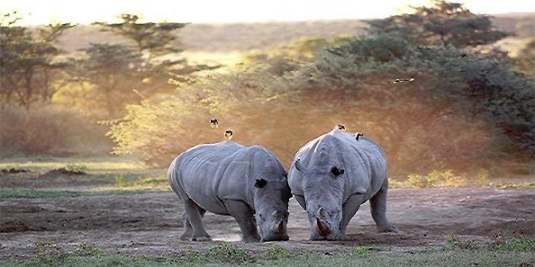 Majestic Court will open near the Khama Rhino Sanctuary in Botswana. 