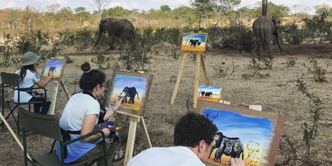 Art of Africa sessions involve spending time with and observing the elephants at Victoria Falls. 