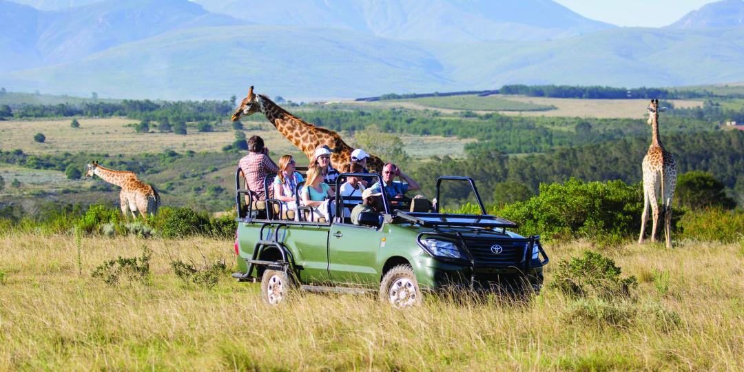 A great family experience for all ages at Gondwana.