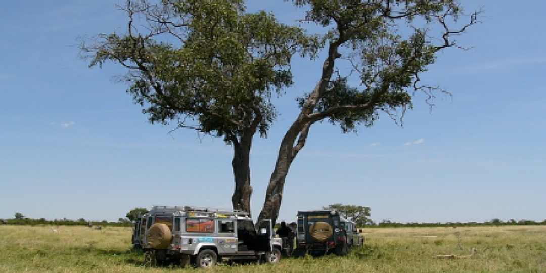 The Okavango Delta is one of the most sought-after wilderness destinations in the world.