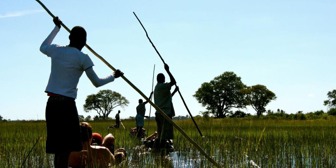 Travellers will get up close to one of National Geographic’s initiatives on a visit to a field camp of the Okavango Wilderness Project.