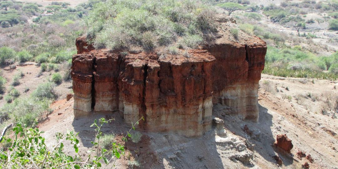 In a bid to attract more international visitors to the museum, the facilities in the hominid sites at Olduvai Gorge are being upgraded.