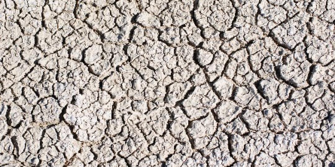 Etosha National Park is a must-do when visiting Namibia, which is home to the famous Etosha Pan. 