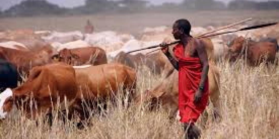 The Tanzanian government is clamping down on herders grazing cattle in the national parks and game reserves.