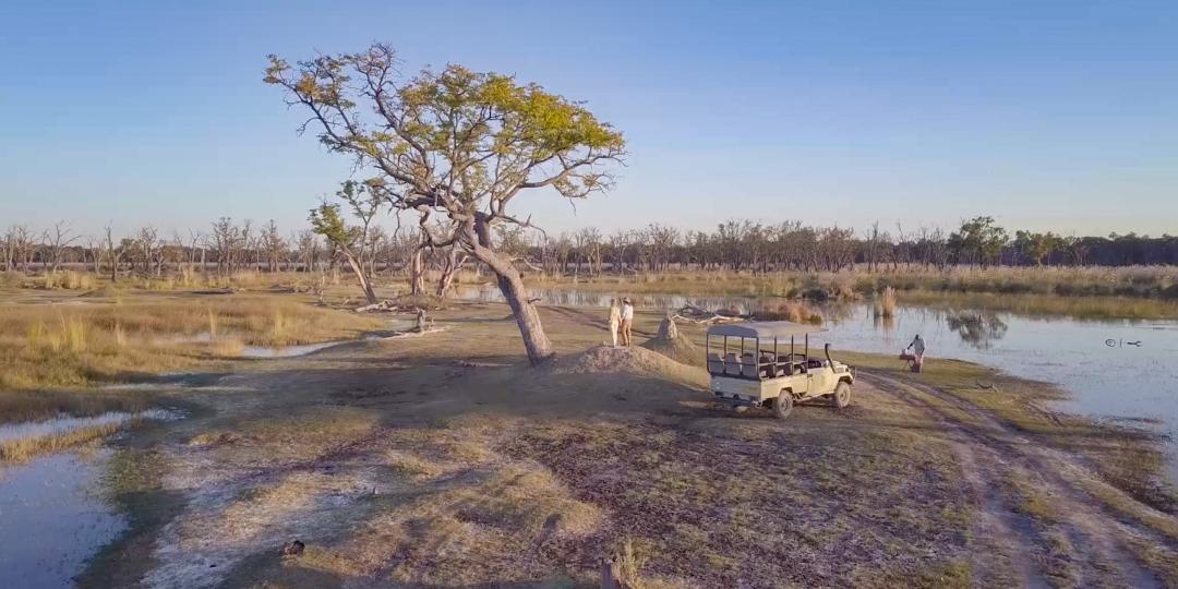 Drinks break in Moremi Game Reserve