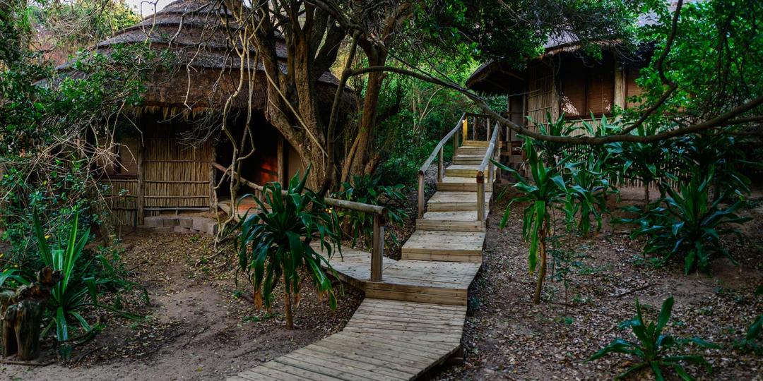 Thonga Beach Lodge has removed baths from its rooms to save water.