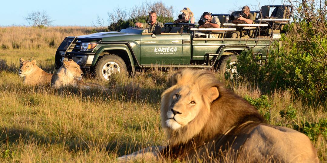 Wildlife experiences were among the top-three activities sought by international visitors to the Eastern Cape in 2016.