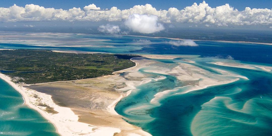 African Parks to manage Mozambique national marine sanctuary | Southern ...